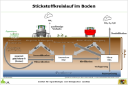 Pfeilschema zeigt die Stickstoffbewegungen im Boden.