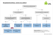 Pfeilschema zur Entscheidungsfindung