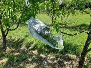 Ein Ast-Käfig hängt in einem Baum.